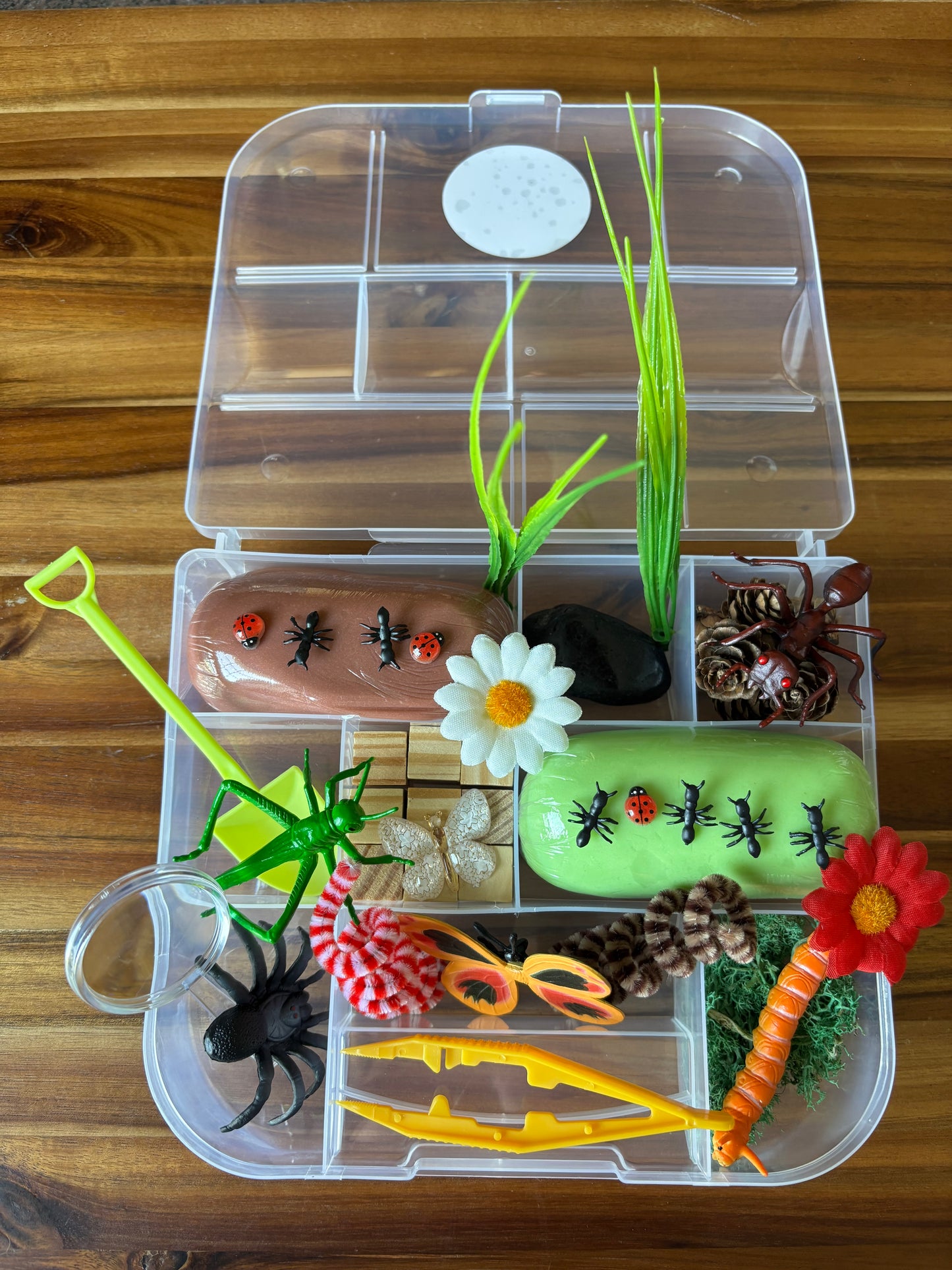 Bugs Kit